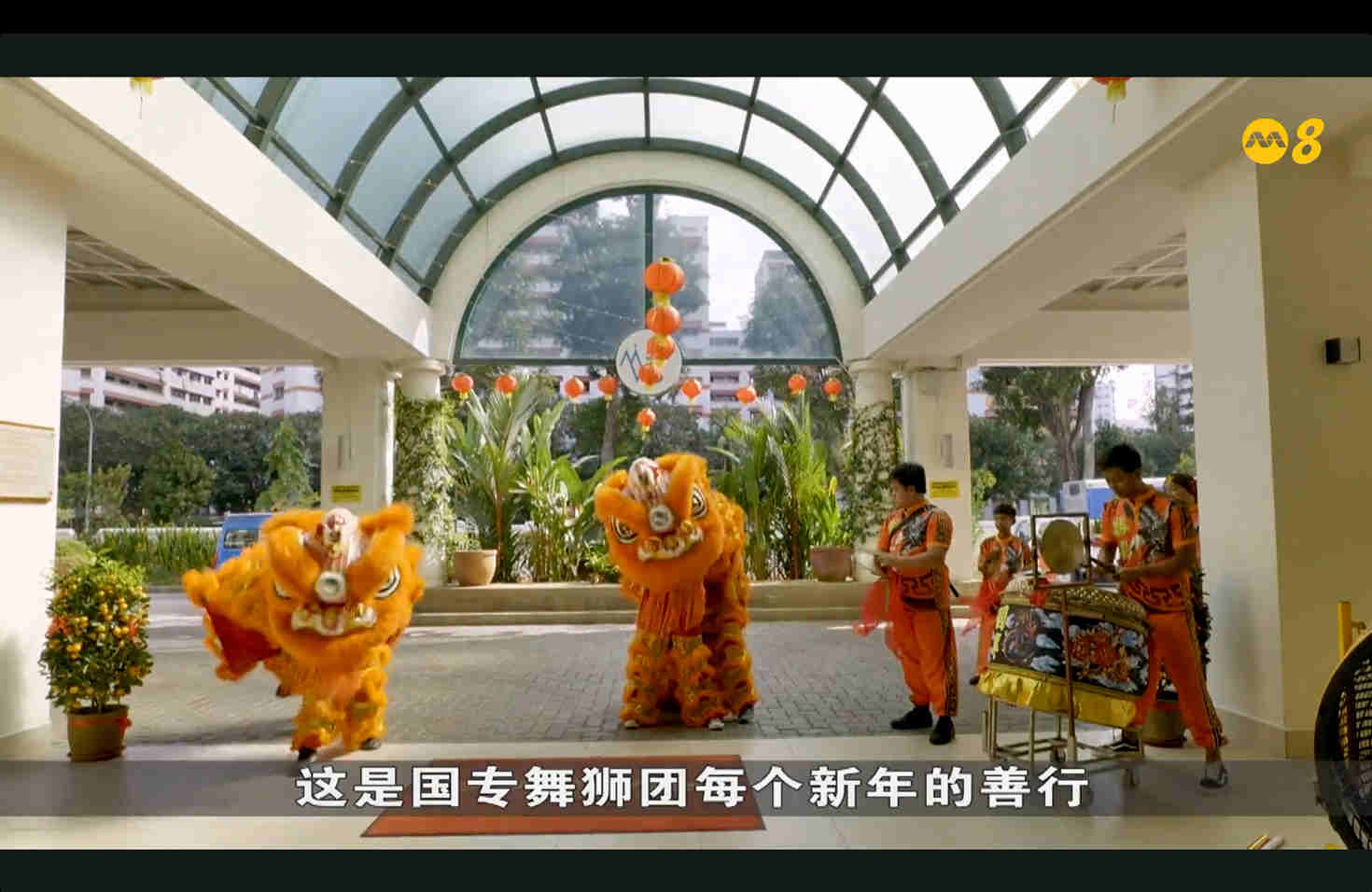 晨光|玩物壮志：本地唯一异族舞狮团 深受华人欢迎