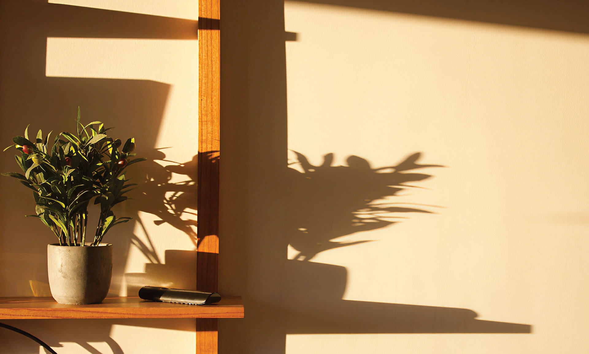 The hiding place: Finding deliverance in God’s love