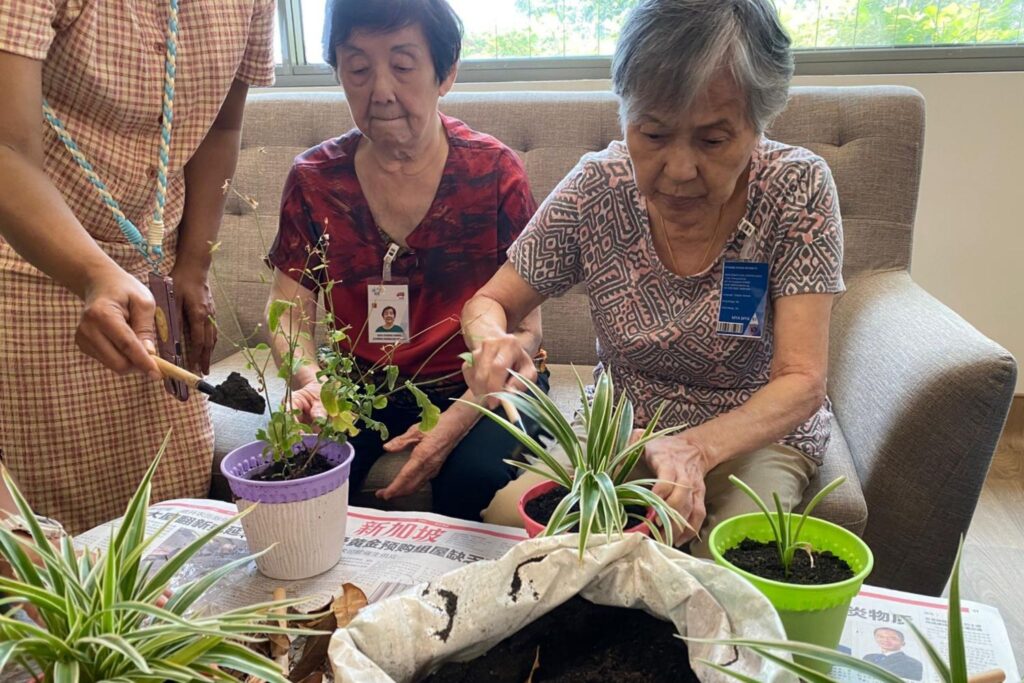 Participants with their first successful harvest of ginger and lady finger